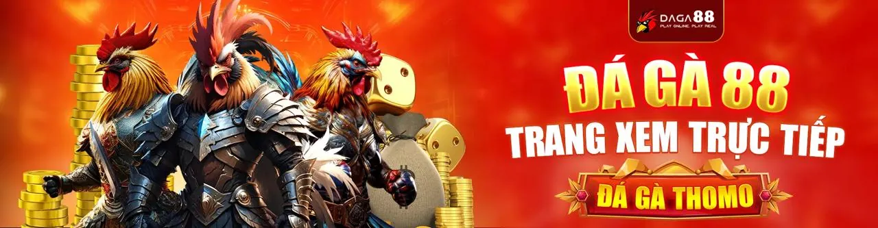 Đá gà trực tuyến hitha88 win - Trải nghiệm cá cược đỉnh cao